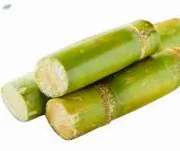 Wholesale Fresh Sweet Frozen Sugarcane