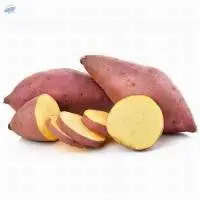 Fresh Sweet Potato