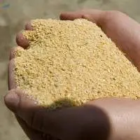 High Protein Soybean Meal For Animal Feed