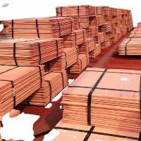 Electrolytic Copper Cathode 99.99/ Factory Price