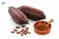 Cocoa beans / powder / Shell 