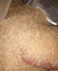 Low Price Rice