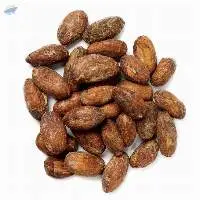 Wholesale  Premium Quality Cocobeans
