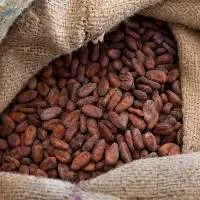 Available Wholesale Natural High Cacao