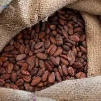 Available Wholesale Cocoabeans Products For Sale