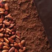 Top Quality  Cocoa powder for sale