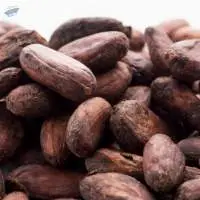Wholesale Organic Cocoa Beans - Premium Quality