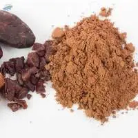 High Quality Raw Cocoa Bean For Sale