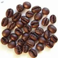 Arabic  Roasted Coffee Beans for sale