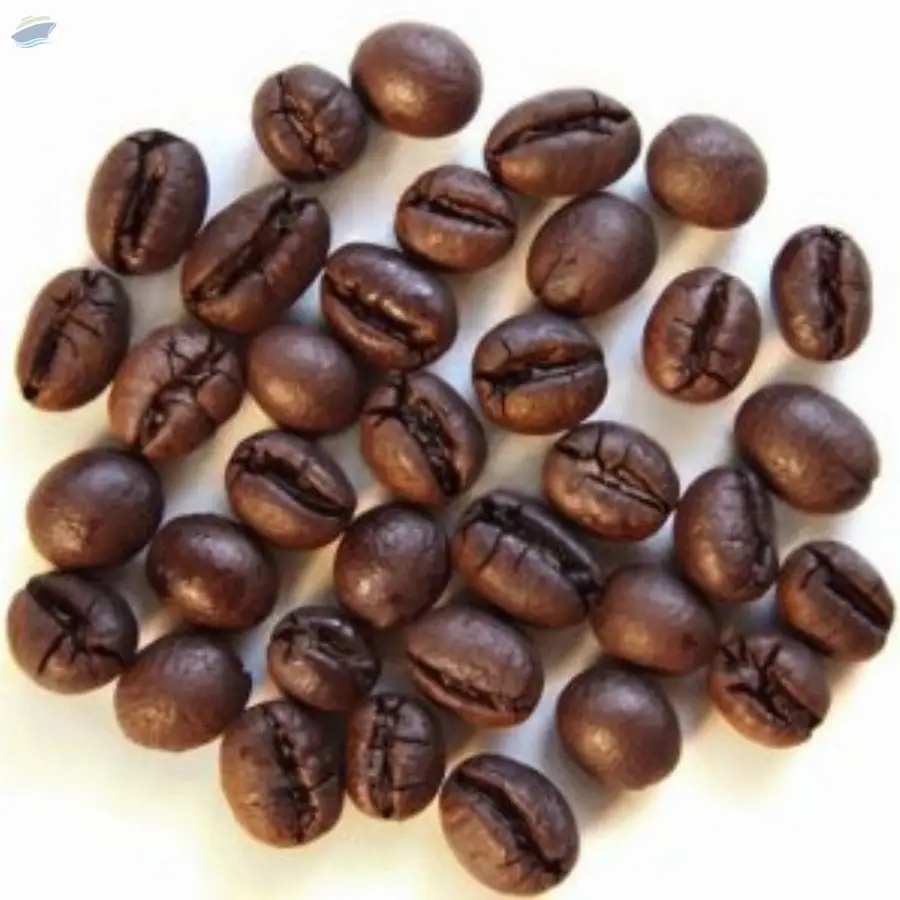 Arabic Roasted Coffee Beans For Sale by CMPT Manpower Services