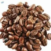 Premium Arabica Coffee Bean 100% for Sales
