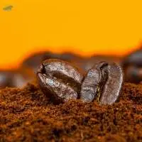 Quality Arabica Coffee  For Sale Now