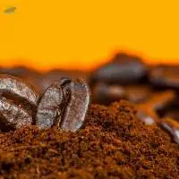 Roasted  Arabica Coffee Bean For Sale