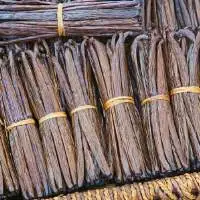 Affordable High Quality Vanilla Beans  