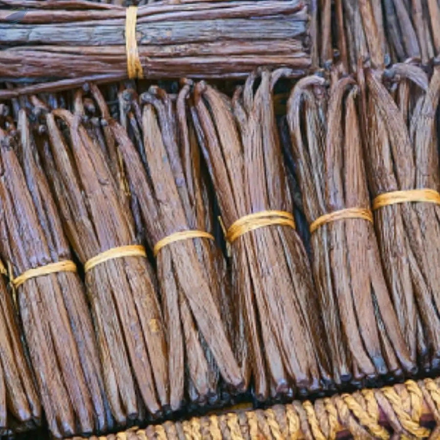 Affordable High Quality Vanilla Beans  