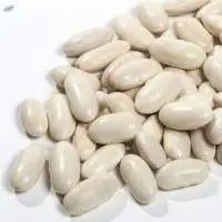 Big Size Kidney Natural Beans  