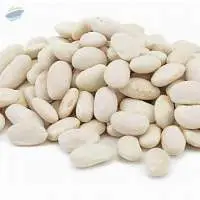 Cheap White Kidney Beans For Sale