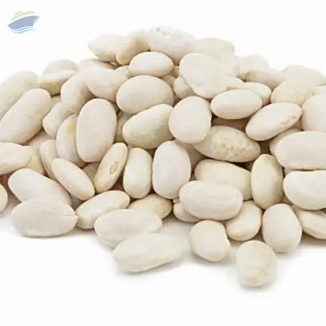 Cheap White Kidney Beans For Sale