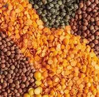 Lentils