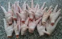 Chicken Paws
