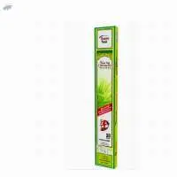 Bonne Nuit Citronella Incense Sticks