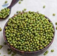 Green Mung Bean