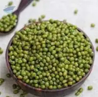 Green Mung Bean
