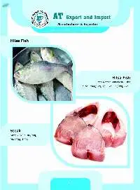 Hilsa Fish