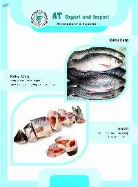 Rohu Carp Fish