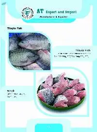 Tilapia Fish