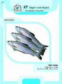 Bata Labeo Fish