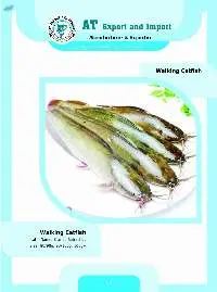Walking Catfish