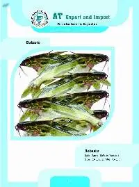 Batasio Fish