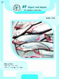 Butter Fish