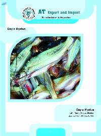 Days Mystus Fish