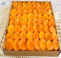 Premium Export Grades Turkish Dried Apricots
