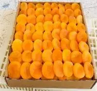 Premium Export Grades Turkish Dried Apricots