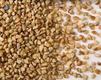 Premium Turkish Crushed Hazelnut Crunch