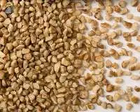 Premium Turkish Crushed Hazelnut Crunch