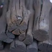 Mangrove Charcoal