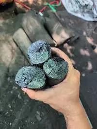 Eucalyptus Charcoal