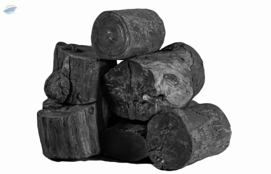 Longan Charcoal (Premium Hardwood Charcoal)