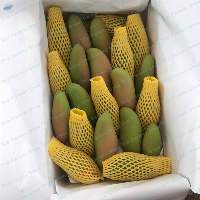 Mahachanok Mango