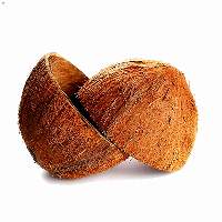 Coconut Shell