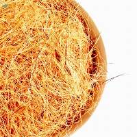 Coconut Fiber