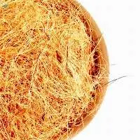 Coconut Fiber