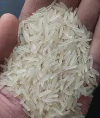 Agri Commodities