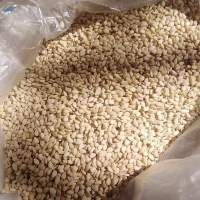 White sesame
