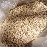 White sesame
