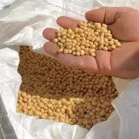 Soybeans